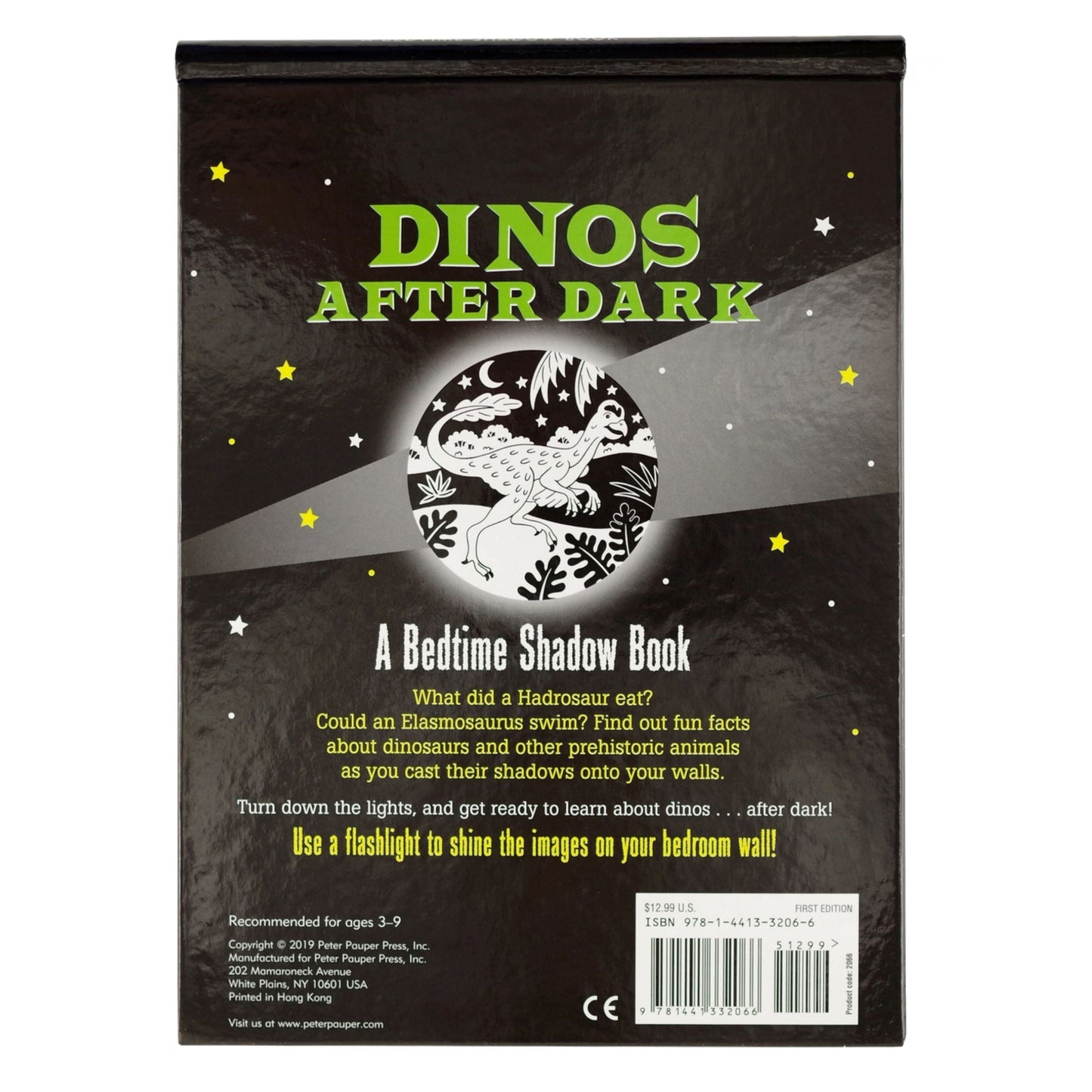 Dinosaurs After Dark Book