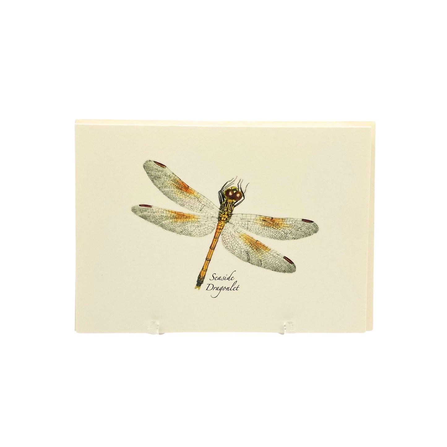 Dragon Fly Note Cards Set of 8