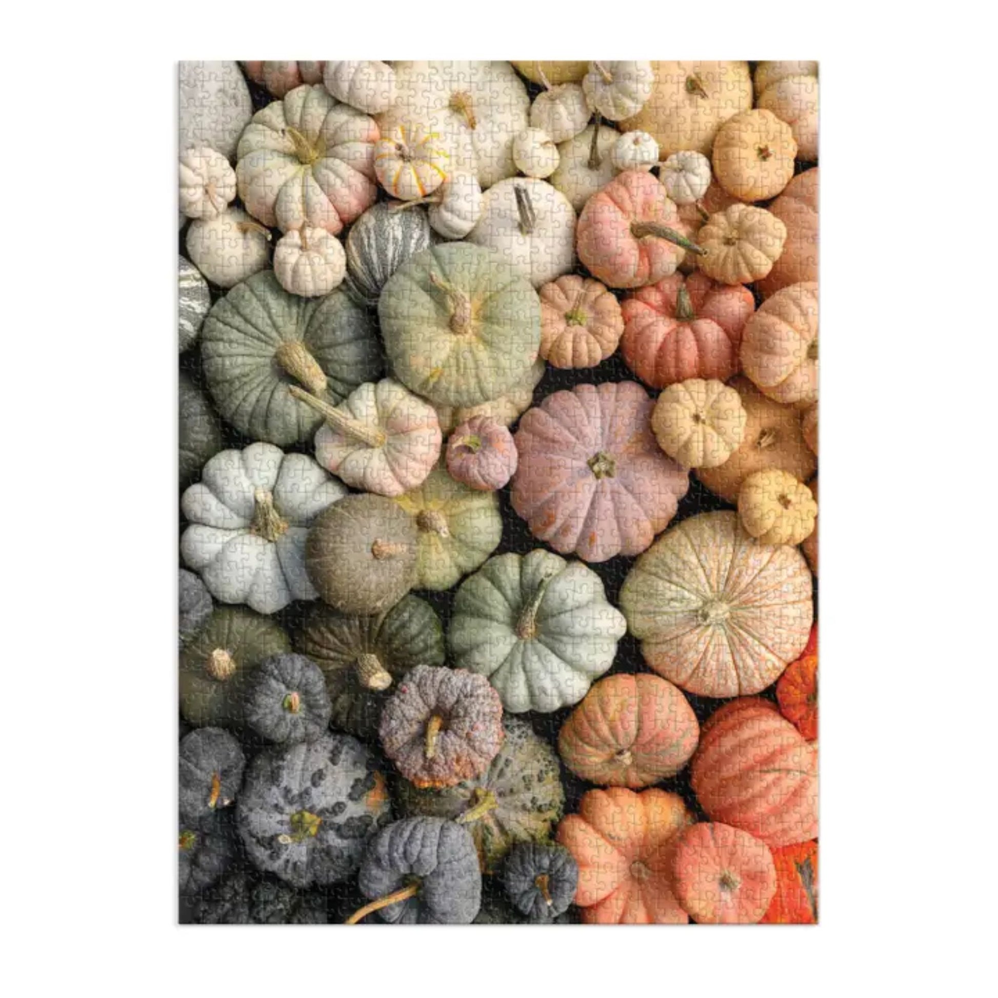 Fall Pumpkin Rainbow Puzzle