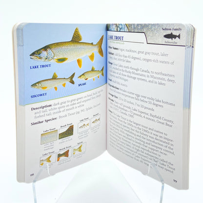 Fish of WI - Book