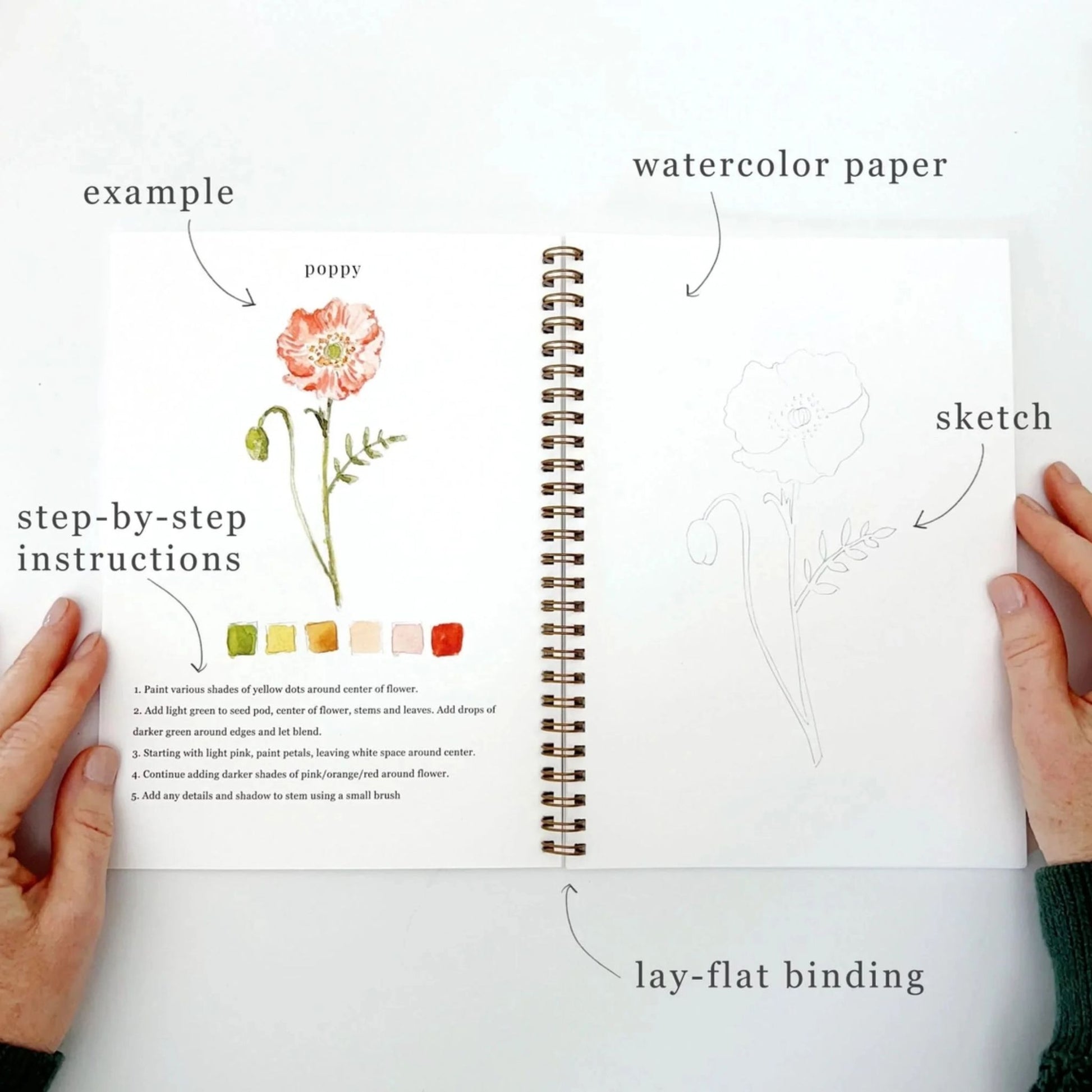 Floral Watercolor Workbook