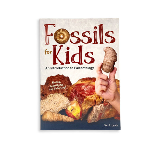 Fossils for Kids adventurekeen