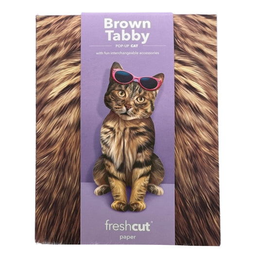 Fresh Cut Brown Tabby Pop Up Cat Card