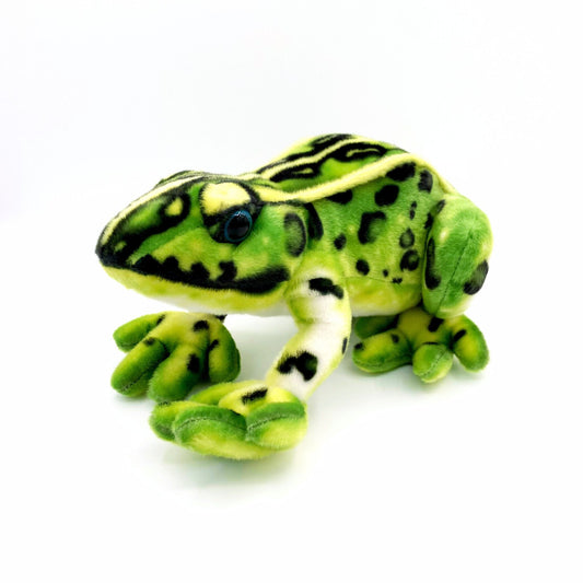 Frisco the Green Frog Plush Animal