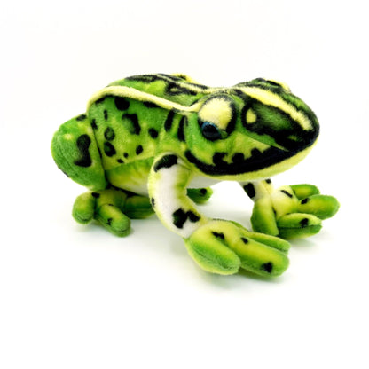 Frisco the Green Frog Stuffed Animal