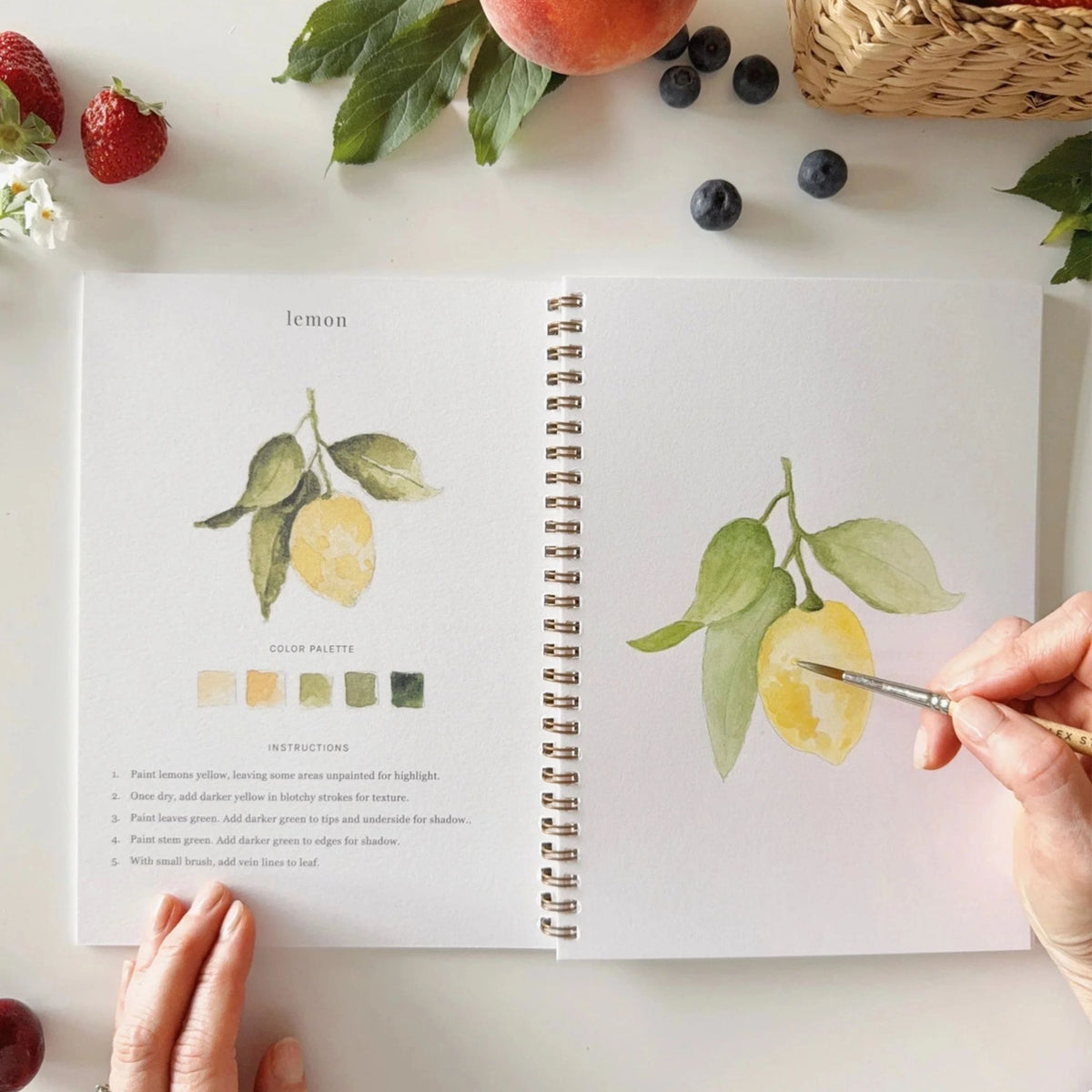 Fruit Watercolor Book Emily Lex