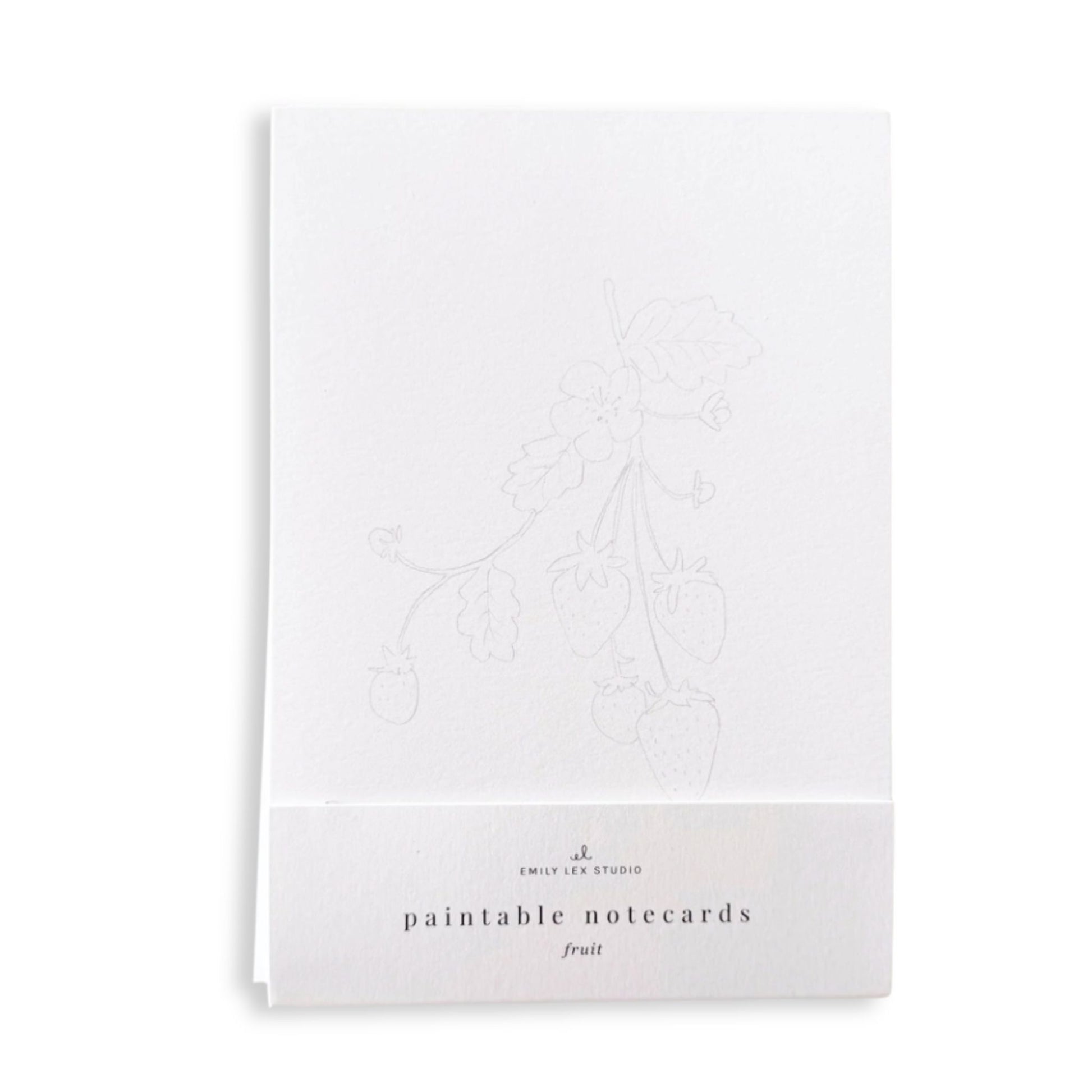 Fruit Paintable Water Color Note Cards