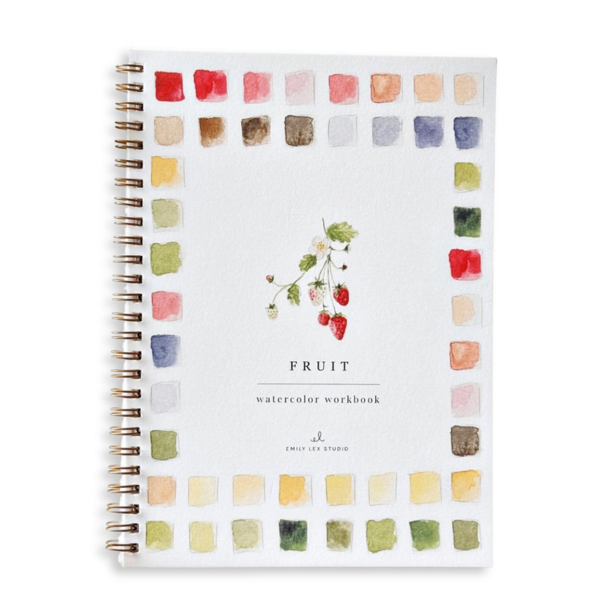 Fruit Workbook Paint Activity