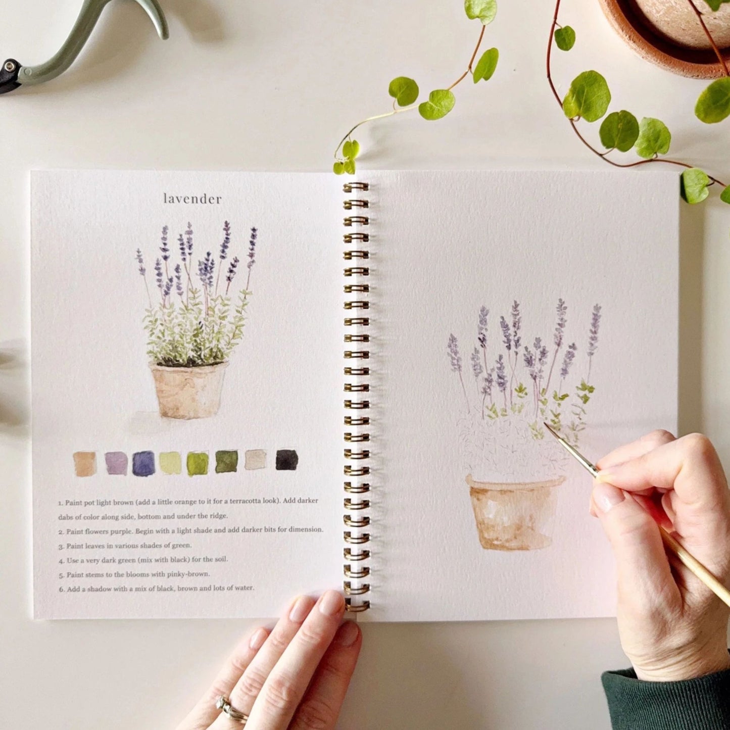 Garden Inspired Watercolor Activity Book