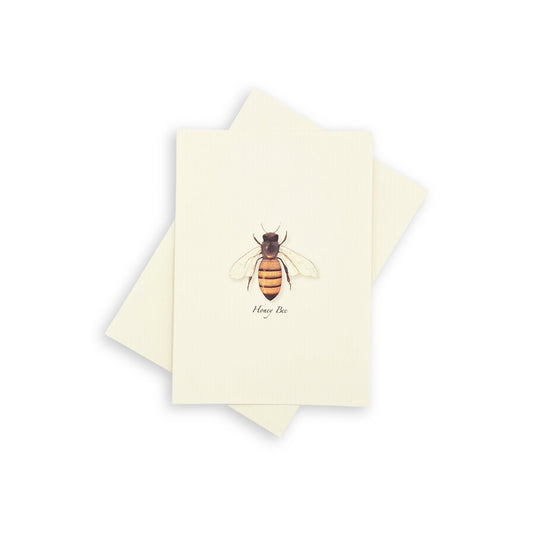 Honeybee Blank Notecard Boxed Set
