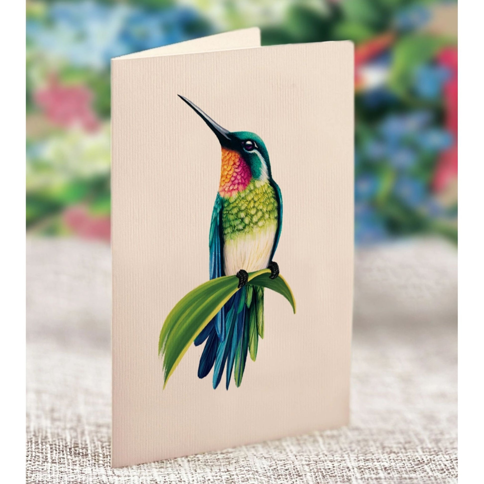 Humming bird blank greeting card