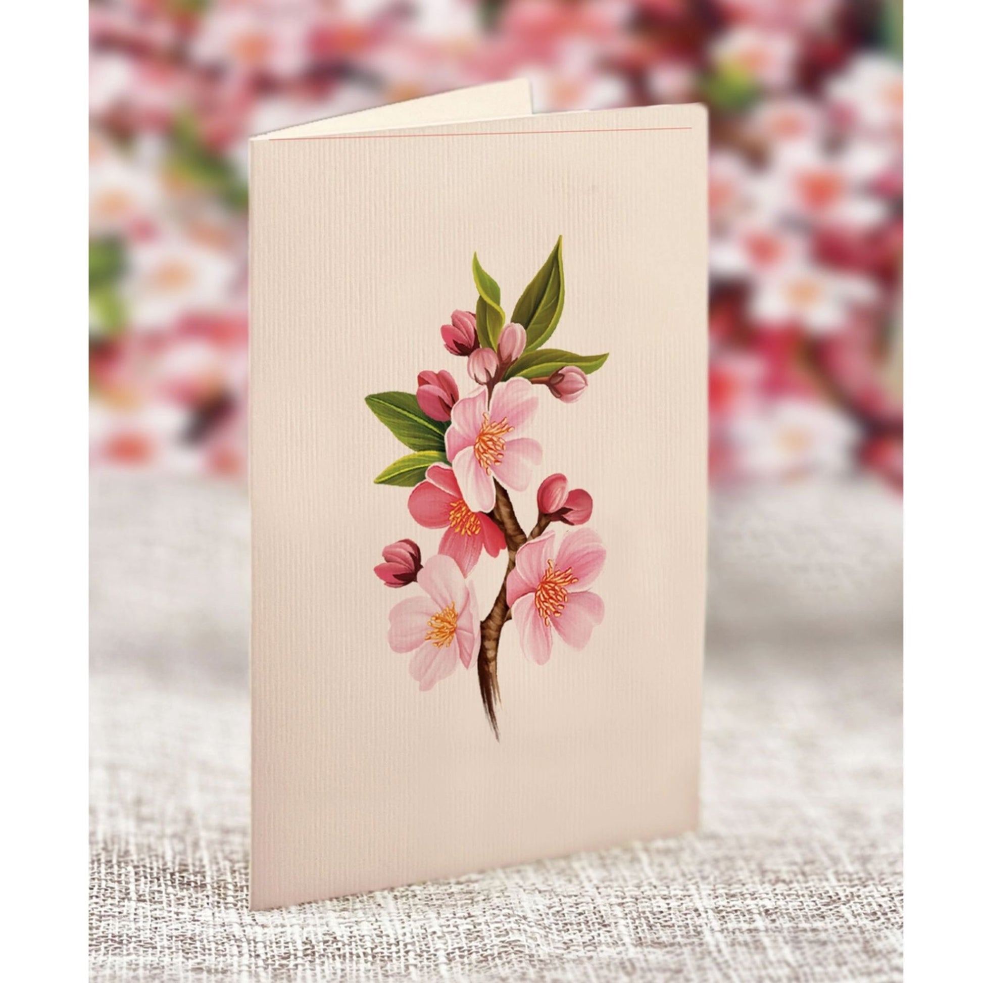 Japanese Pink cherry Blossoms Pop Up Greeting Card