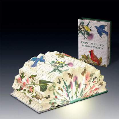 Light Book Audubon's Birds of America