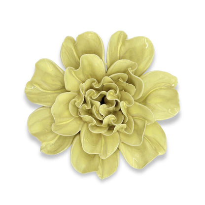 Lime Yellow Larkspur
