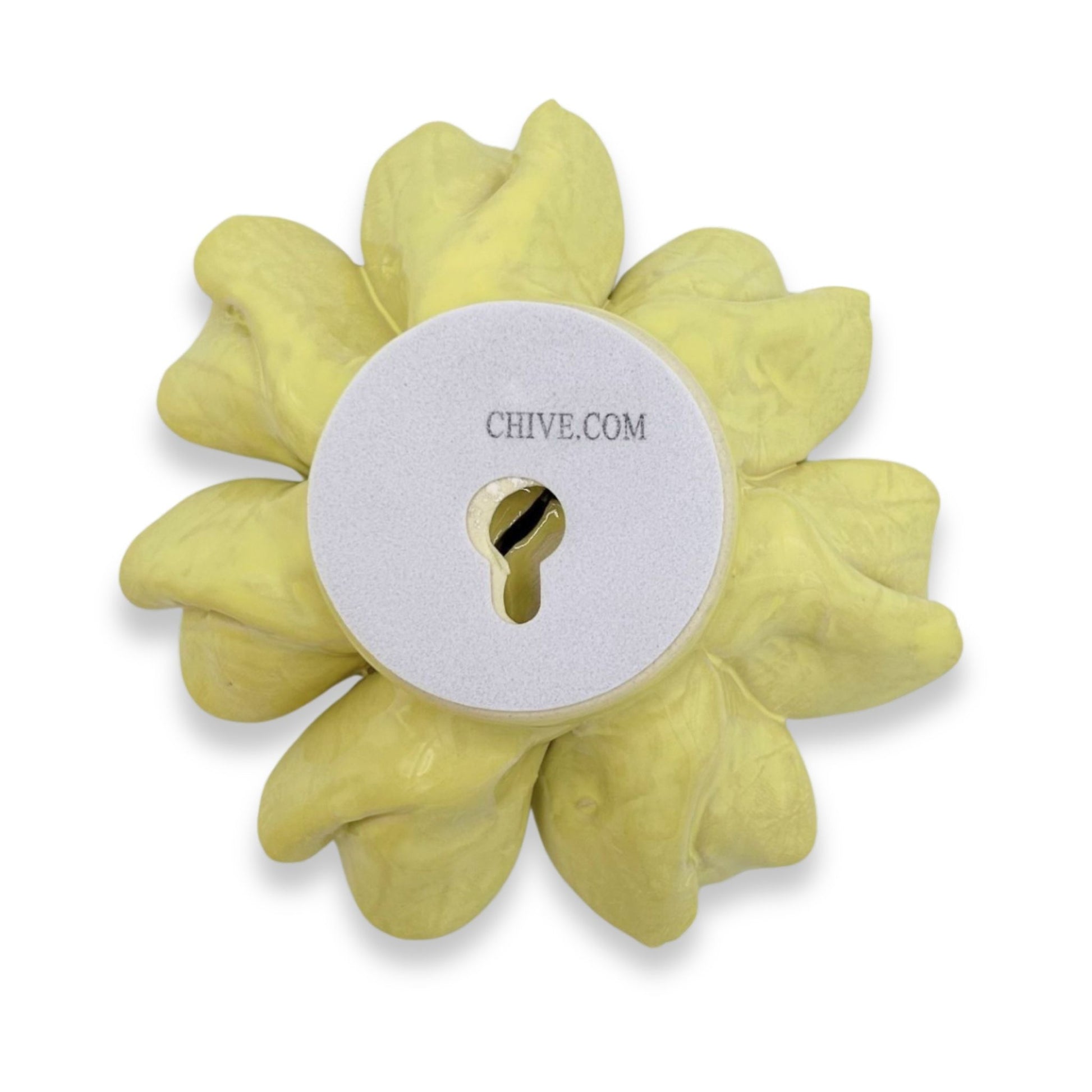 Lime Yellow Larkspur Flower