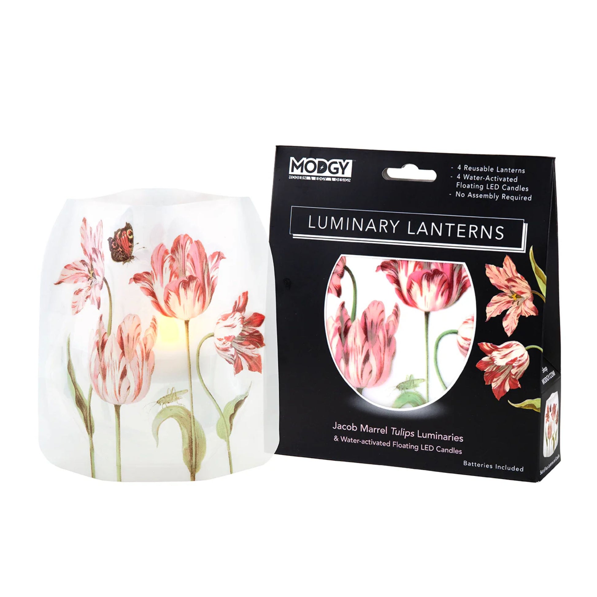 Luminary - Jacob Marrell Tulips Modgy