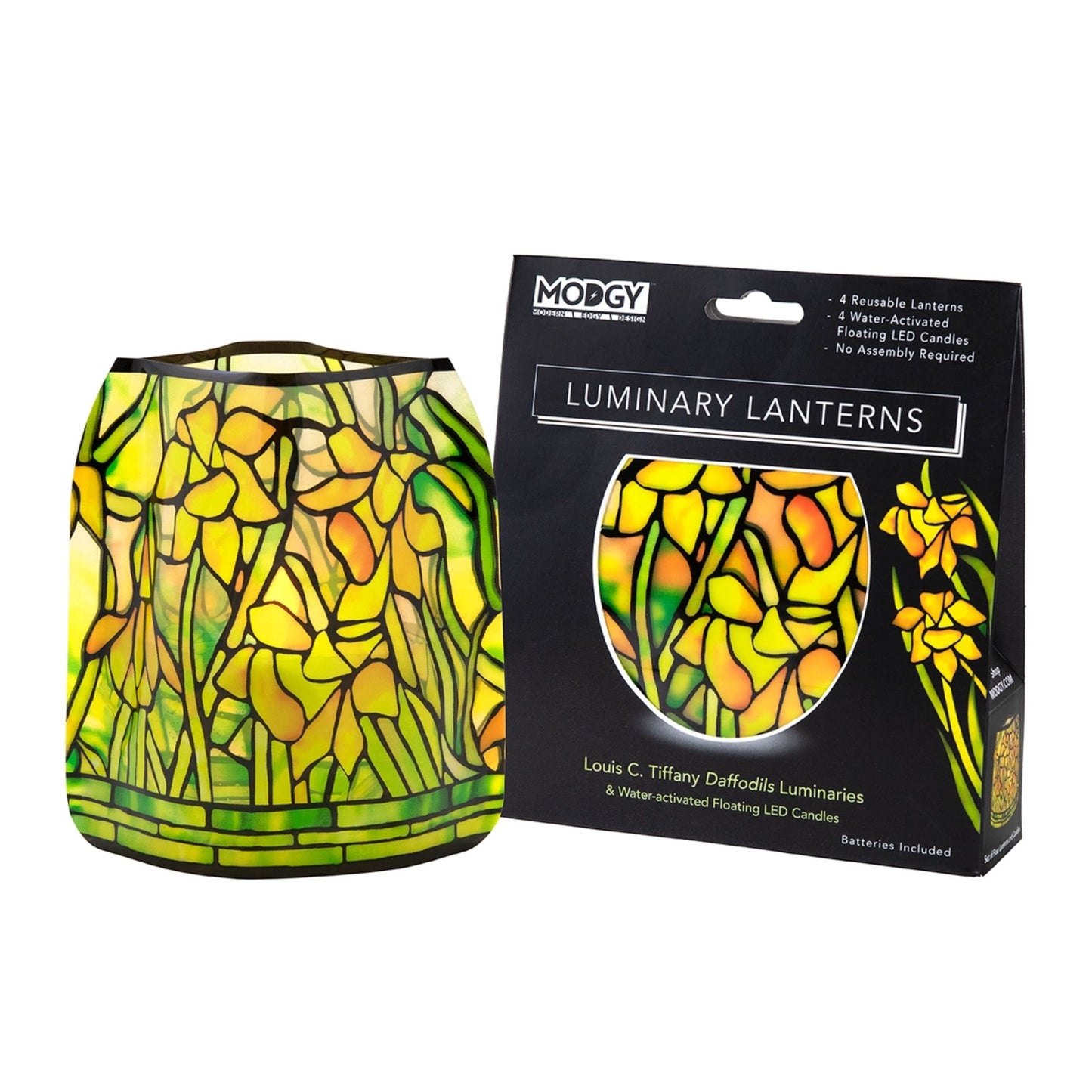 Luminary - Louis C. Tiffany Daffodils