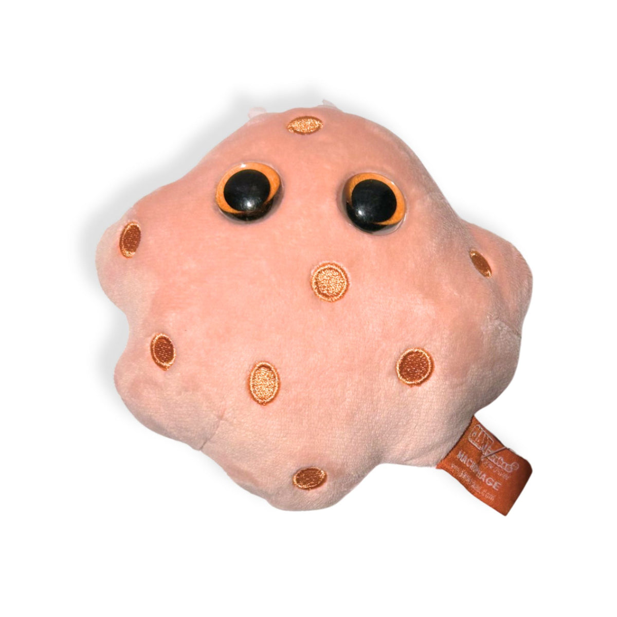 Macrophage