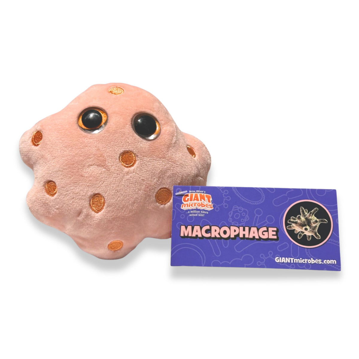 Macrophage Pink and Orange Cell