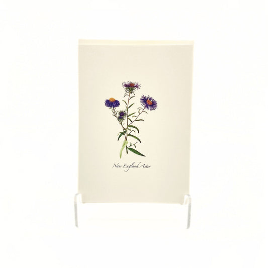 Meadow Wildflower Notecards