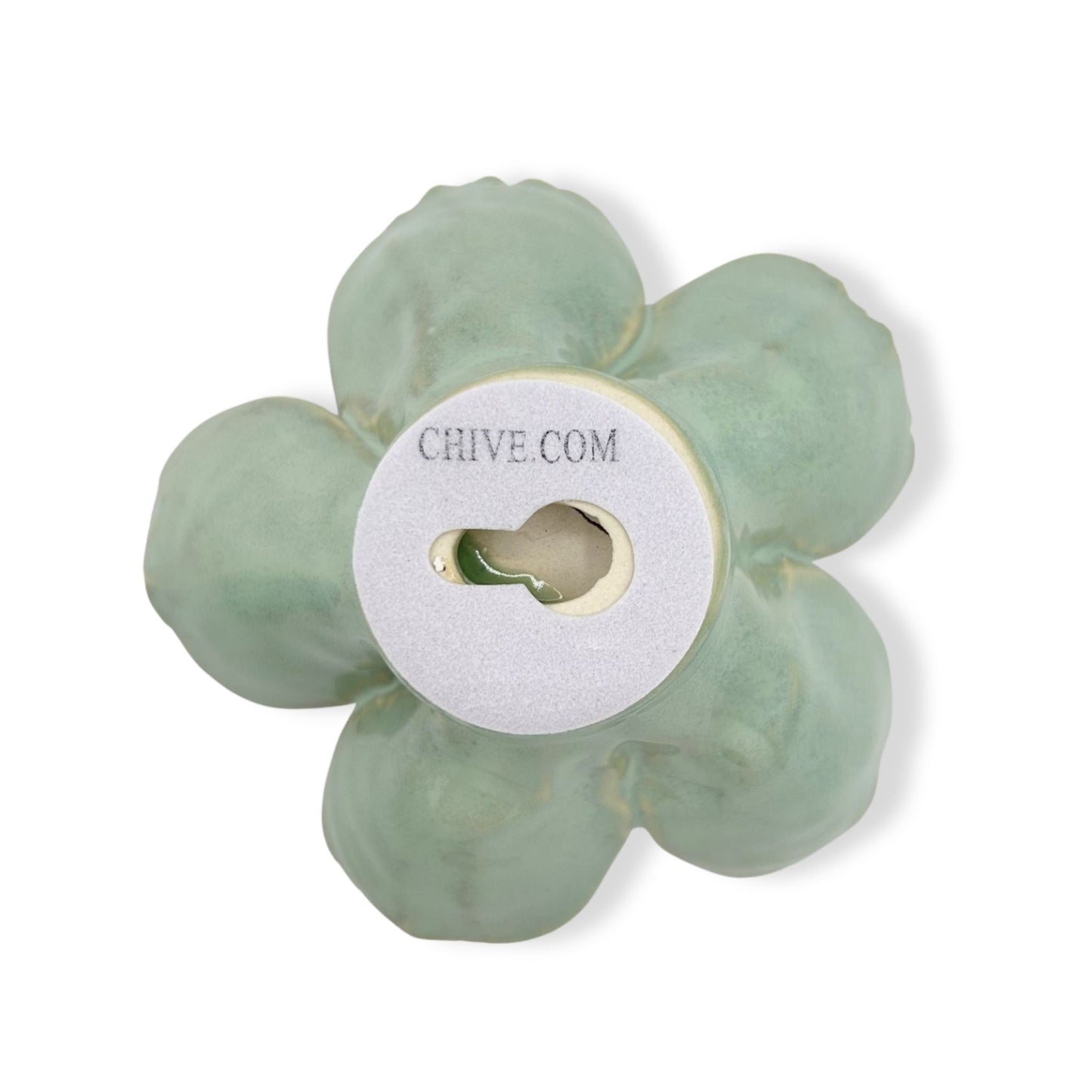 Milk Teal Poppy Flower