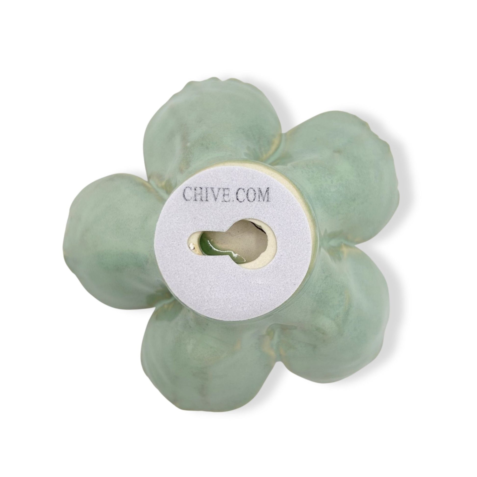 Milk Teal Poppy Flower