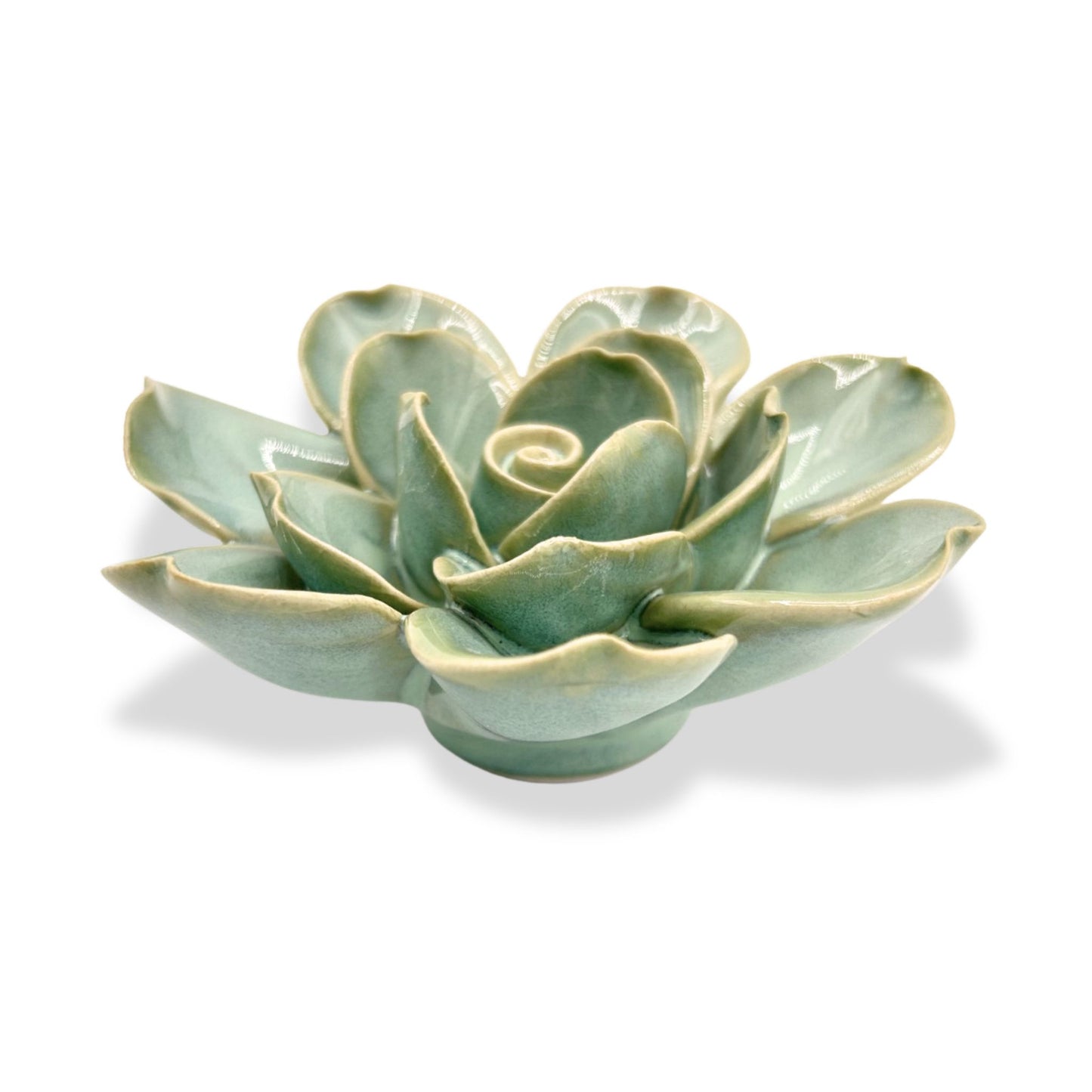 Milk Teal Turquoise Gardenia Floral Bloom