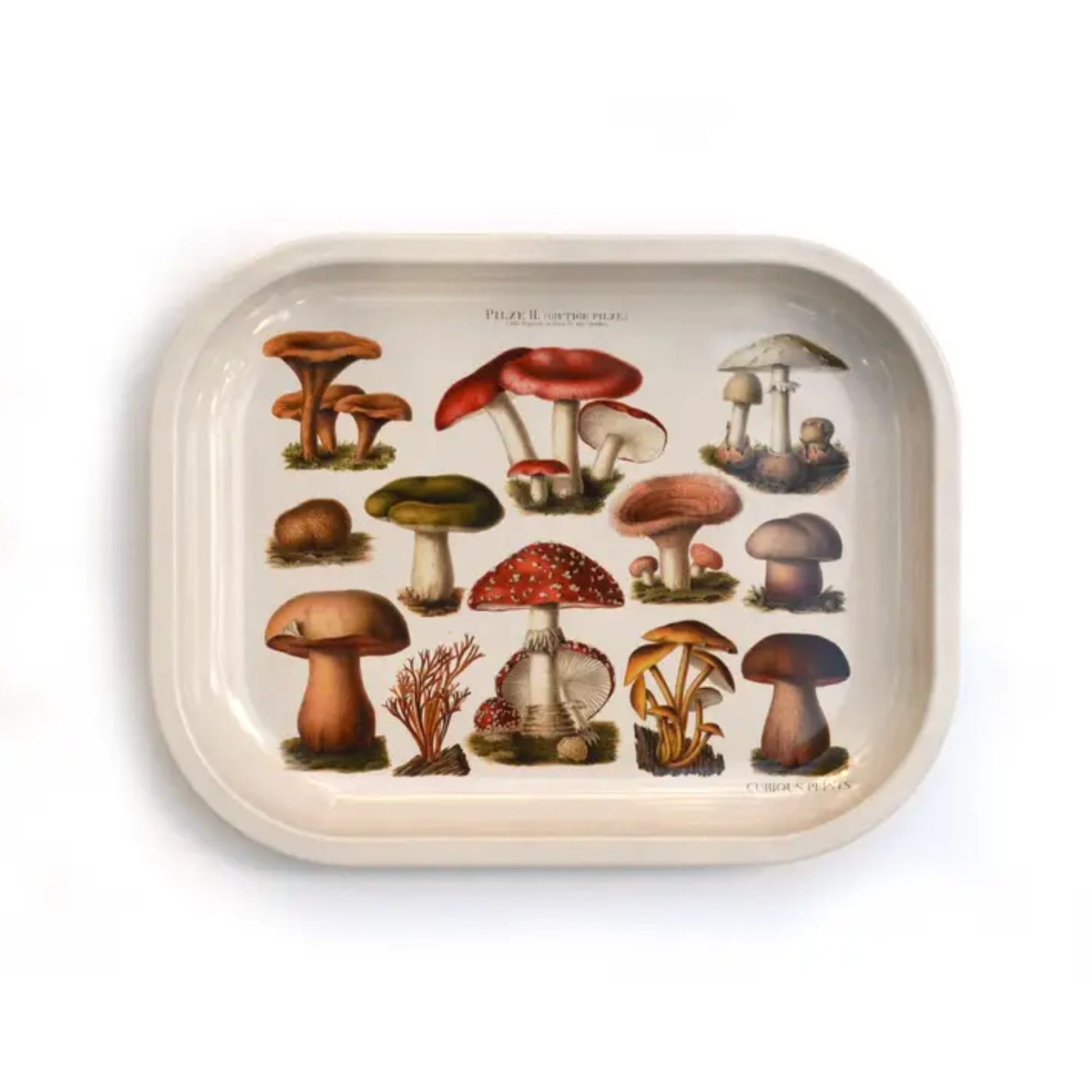 Mushroom Tray