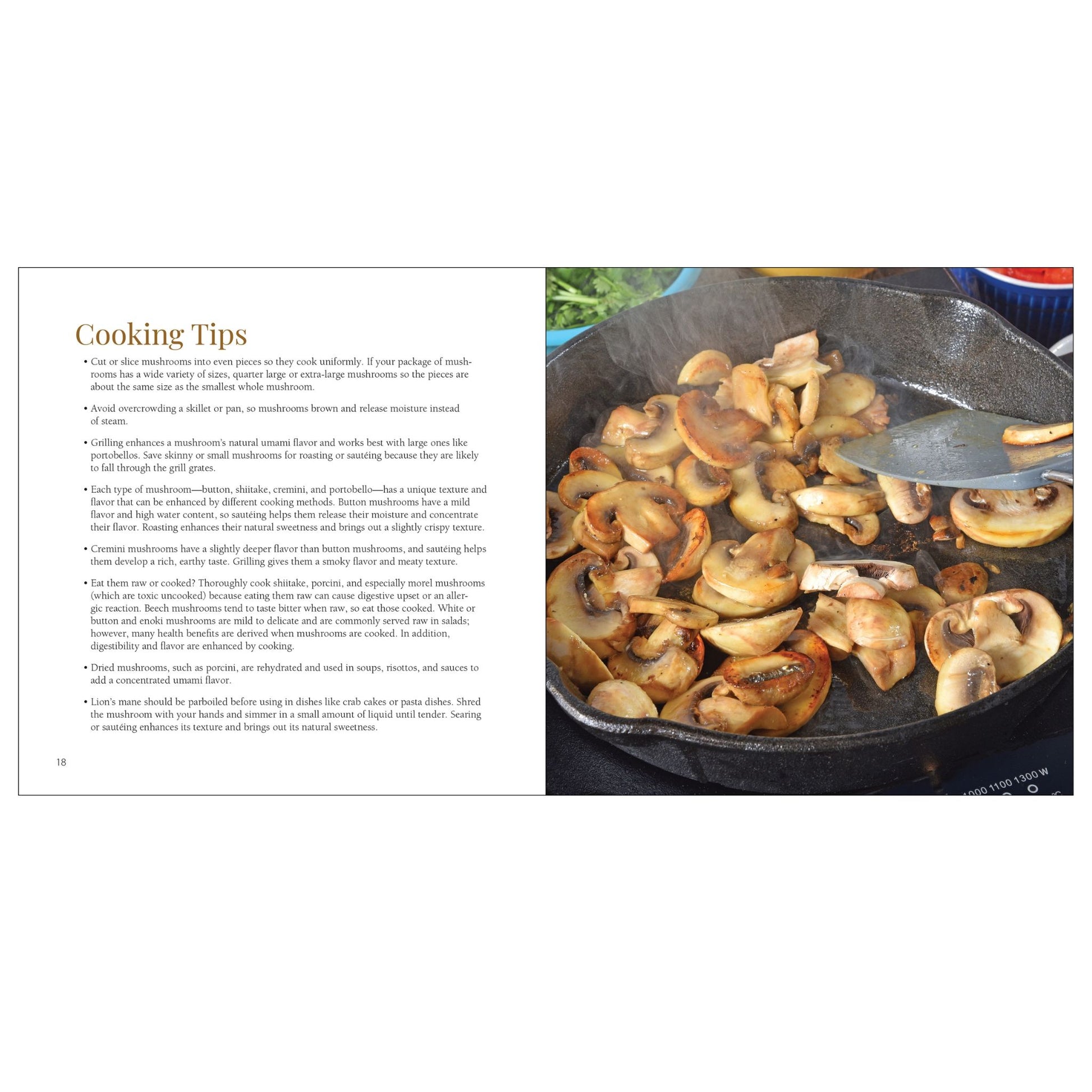 Mushrooms book by Julia Rutland