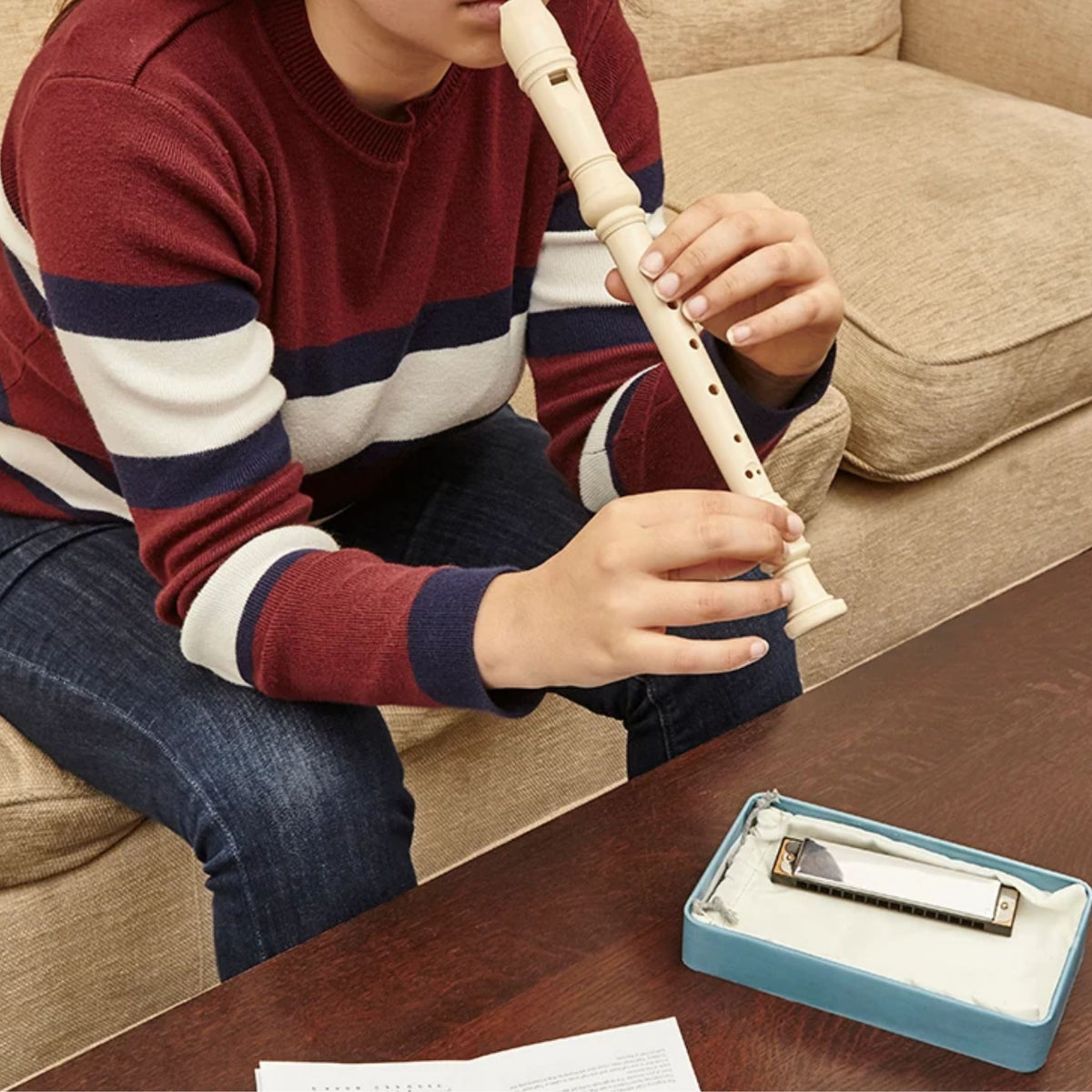 Music Tin Harmonica and Recorder Instruments