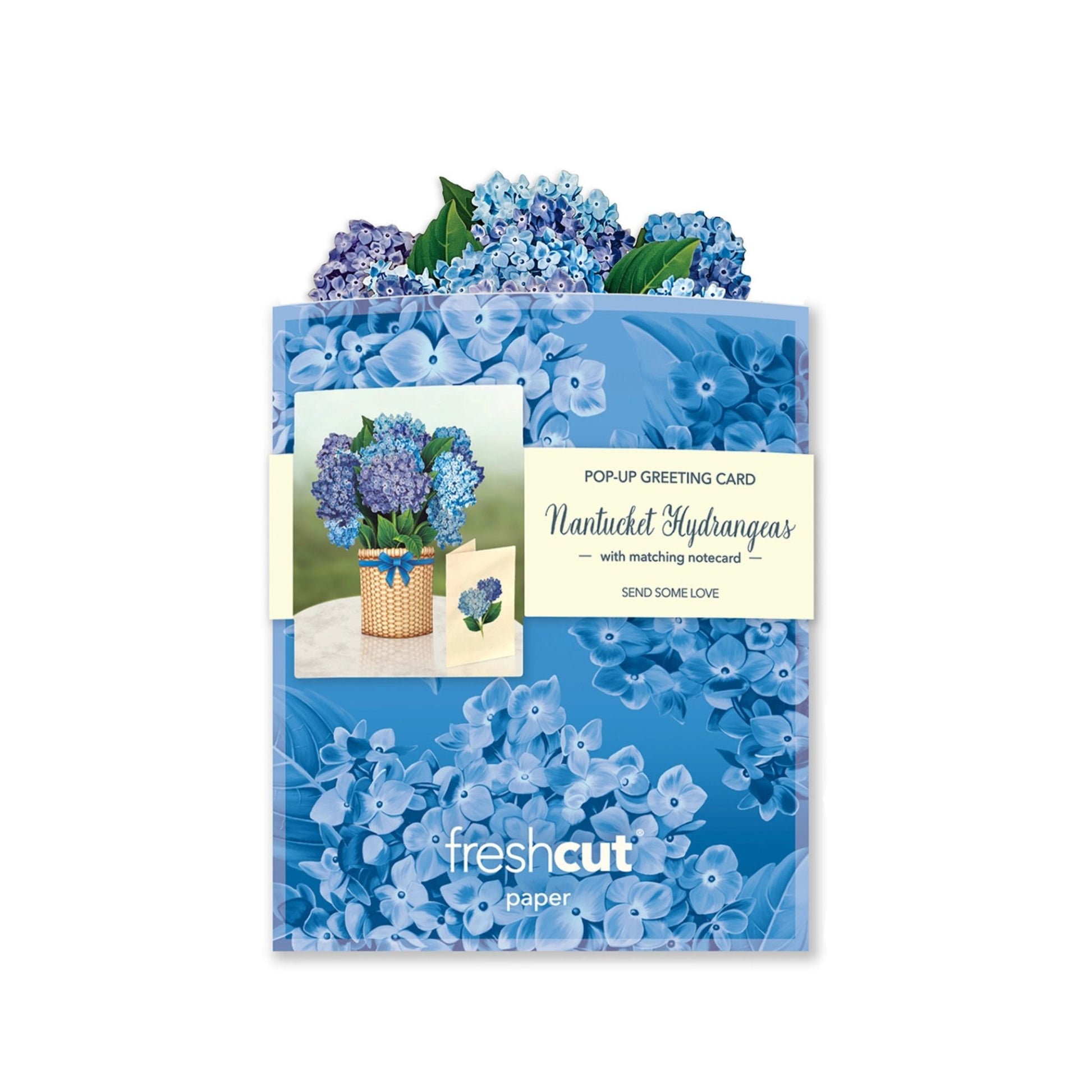 Nantucket Hydrangeas - mini Pop up Blue Flowers