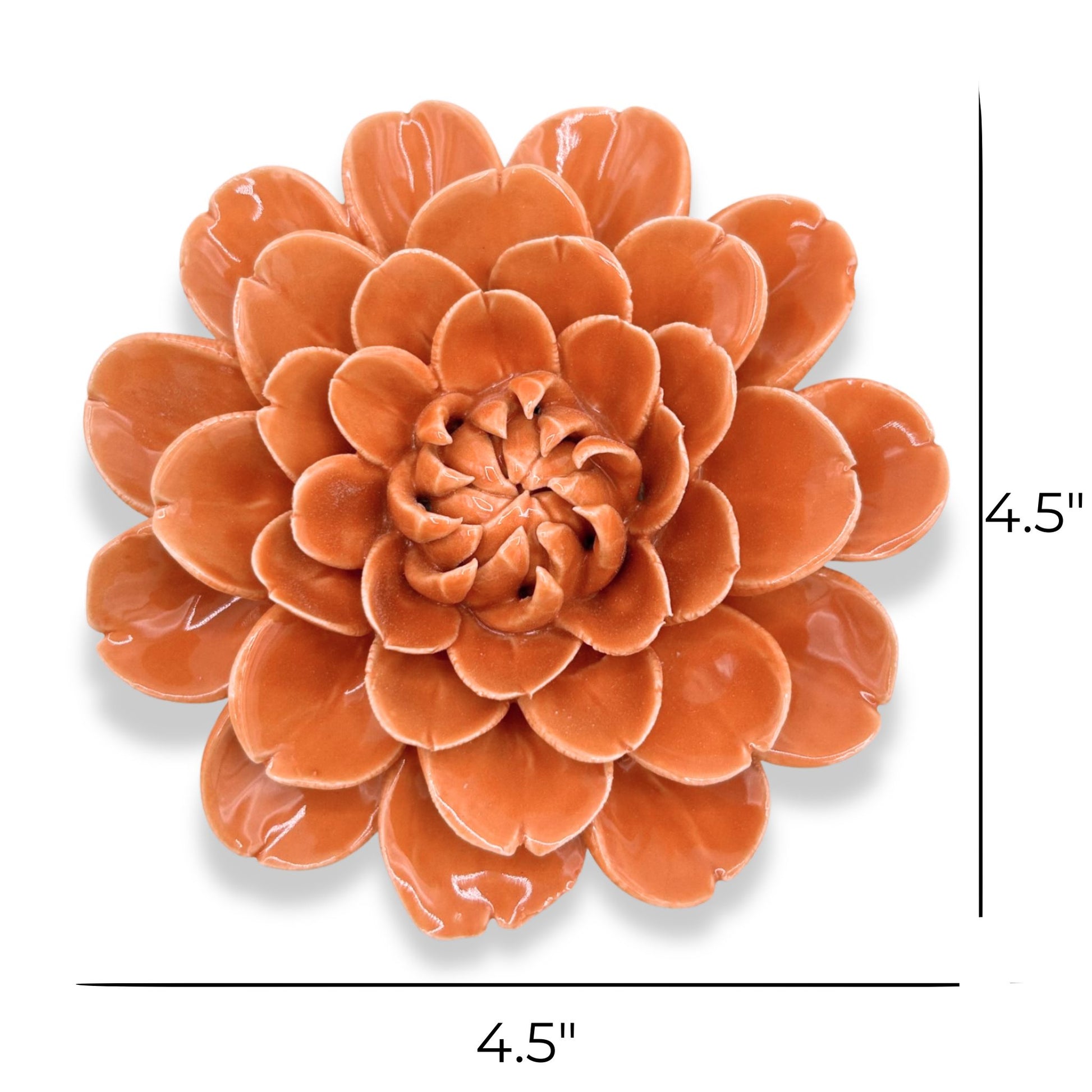 Orange Fiesta Marigold Floral Bloom