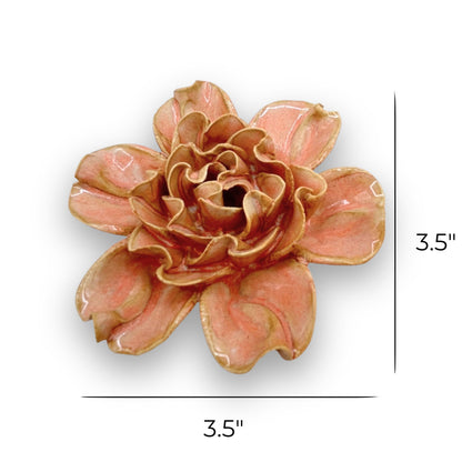 Pale Pink Hawthorn Floral Bloom