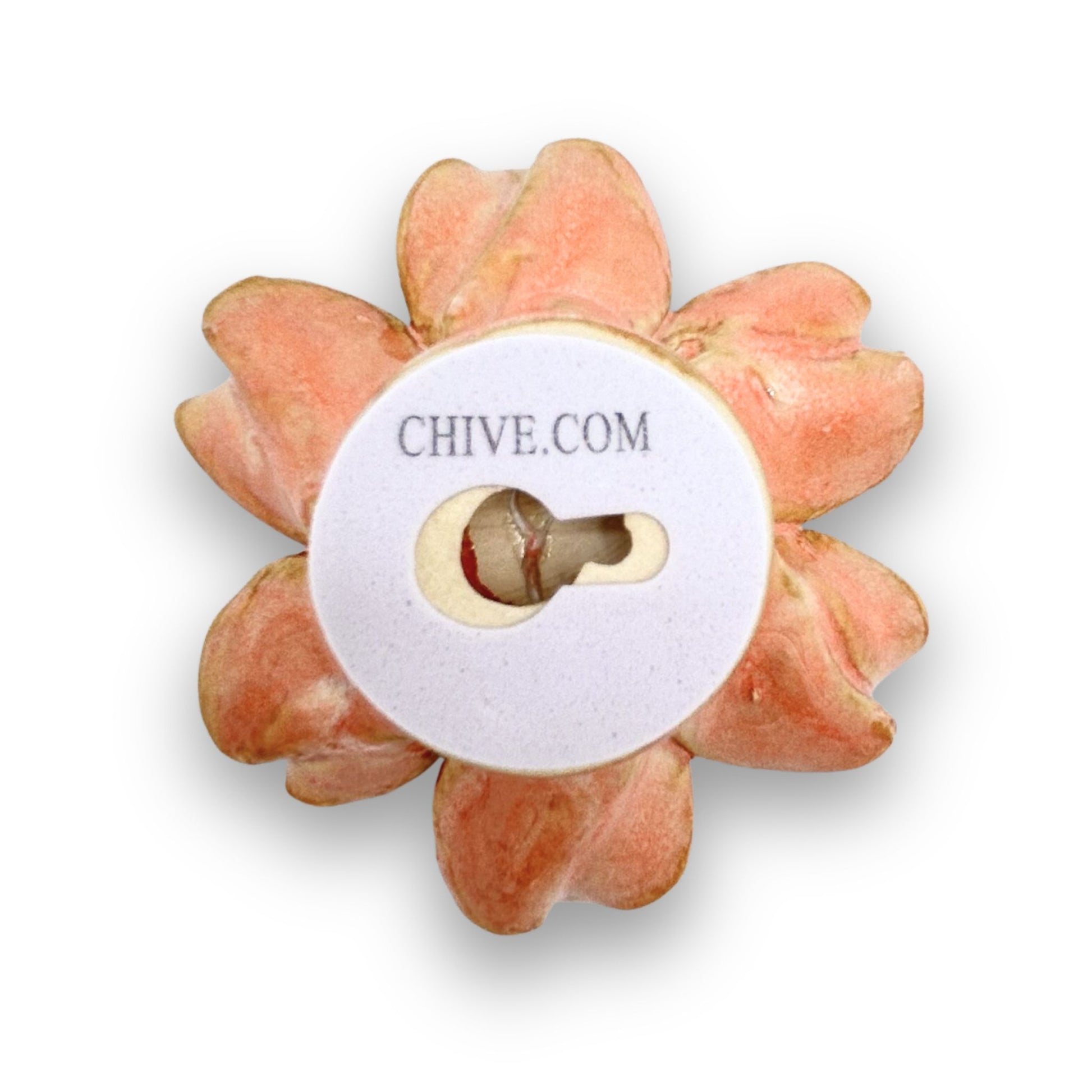 Pale Pink Hawthorn Flower Back For Hanging