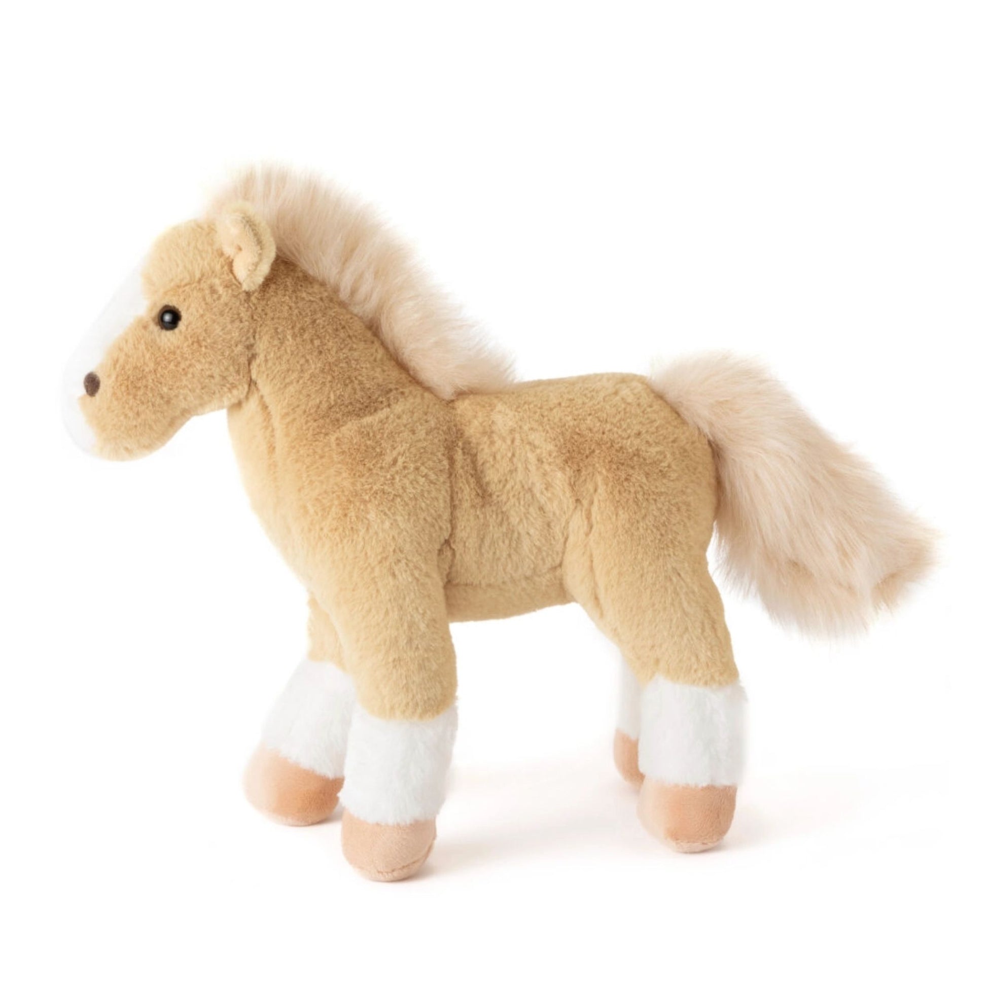 Palomino Horse - Golden