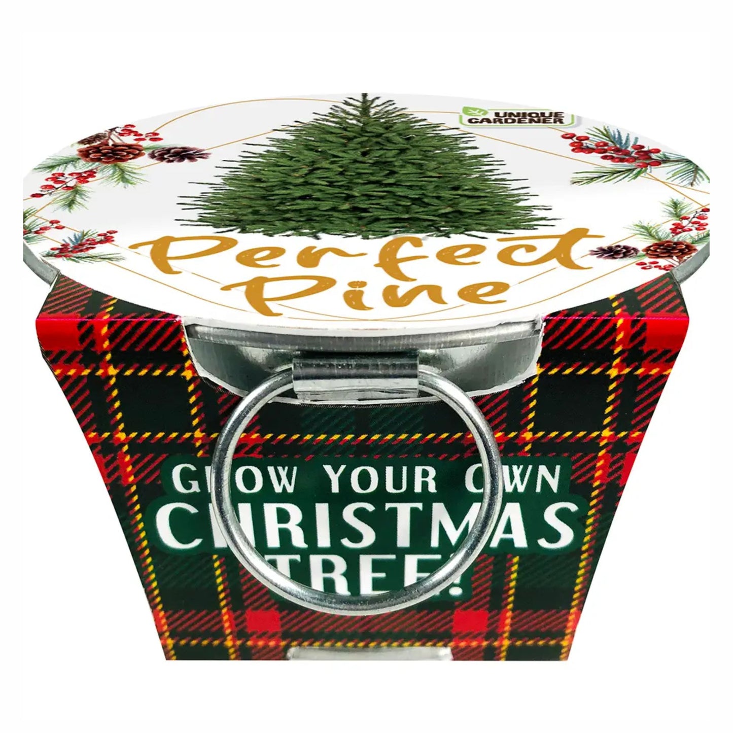 Perfect Pine Christmas Tree