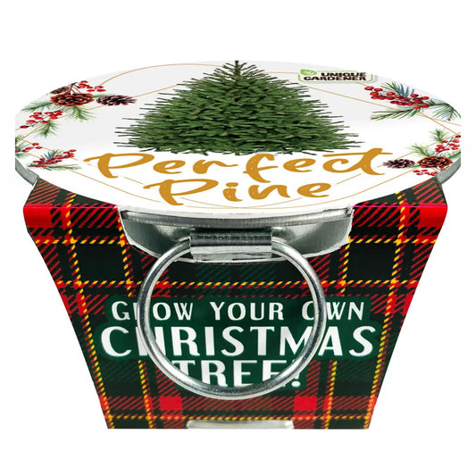 Perfect Pine Christmas Tree