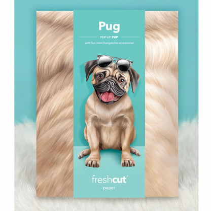 Pug Dog Greeting Card with Accessories