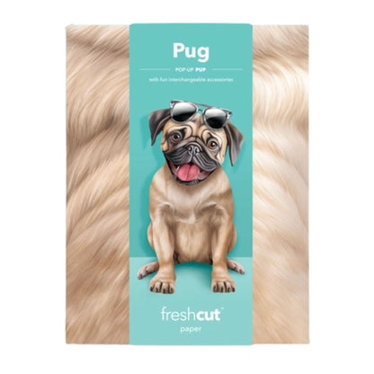 Pug pop up cards with accessories