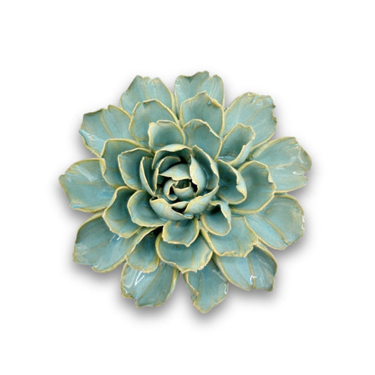 Robin's Egg Blue French Marigold (FR25)