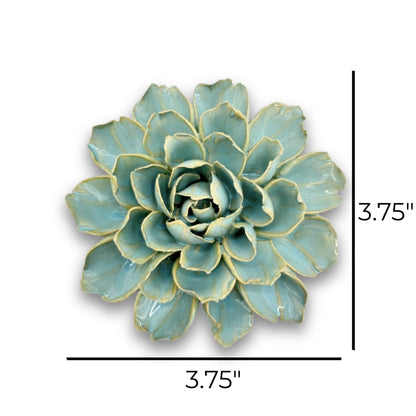 Robin's Egg Blue French Marigold (FR25)