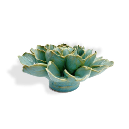 Robin's Egg Blue French Marigold (FR25)