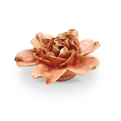 Rose Pink Hawthorn Floral Bloom