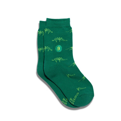 Socks that Give Books - Green Dinos - Preschool