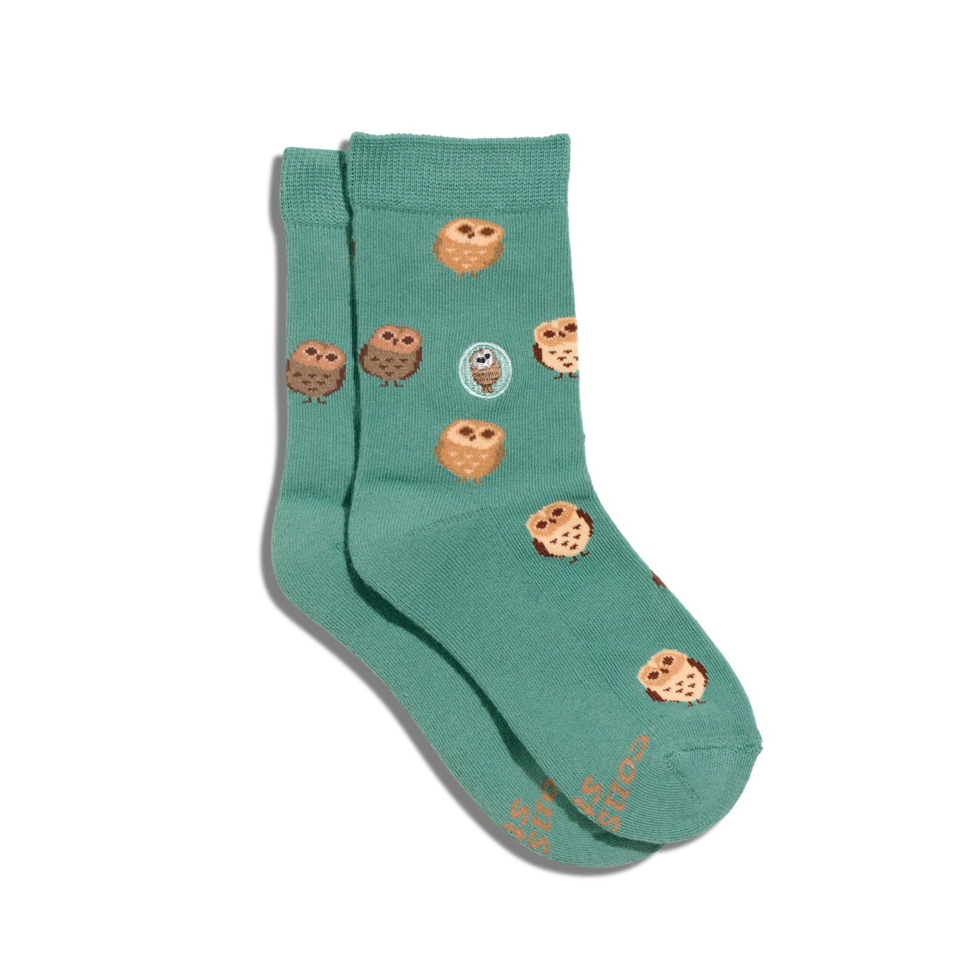Socks that Protect Owls - Preschool