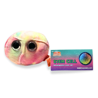 Stem Cell