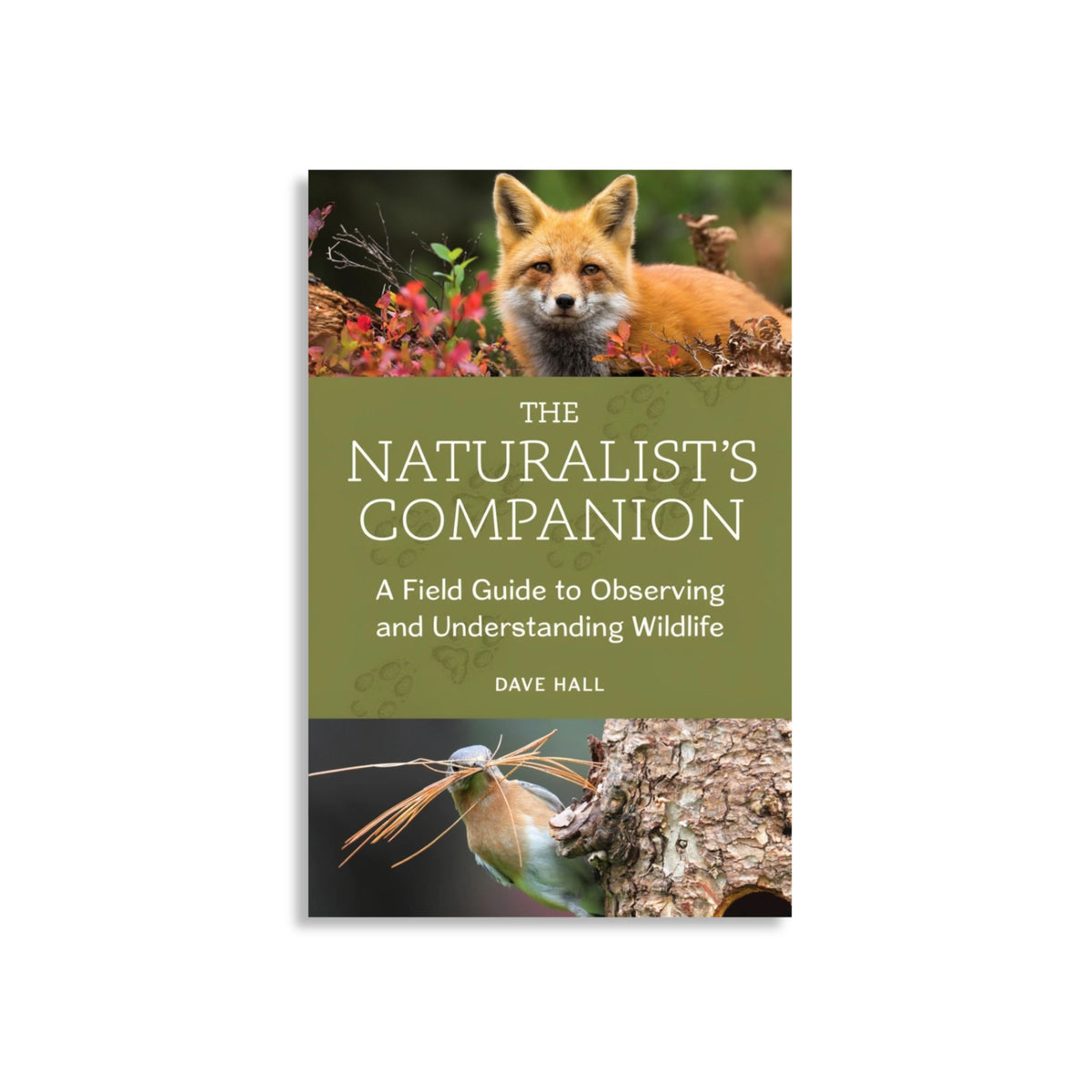 The Naturalist's Companion Softcover Dave Hall