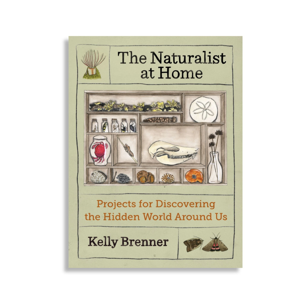 The Naturalist at Home