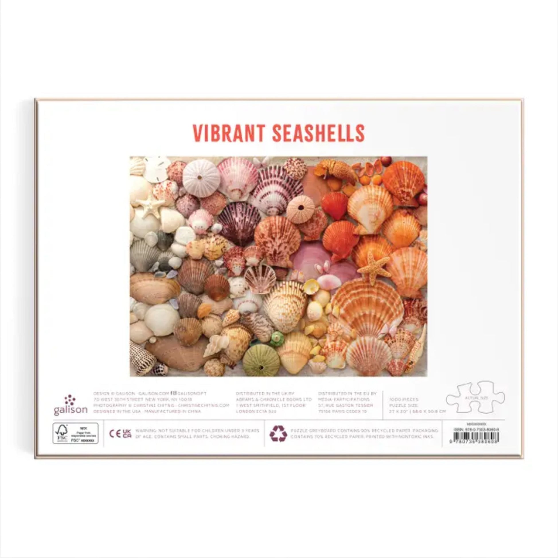 Vibrant Sea Shells colorful 1000 piece puzzle