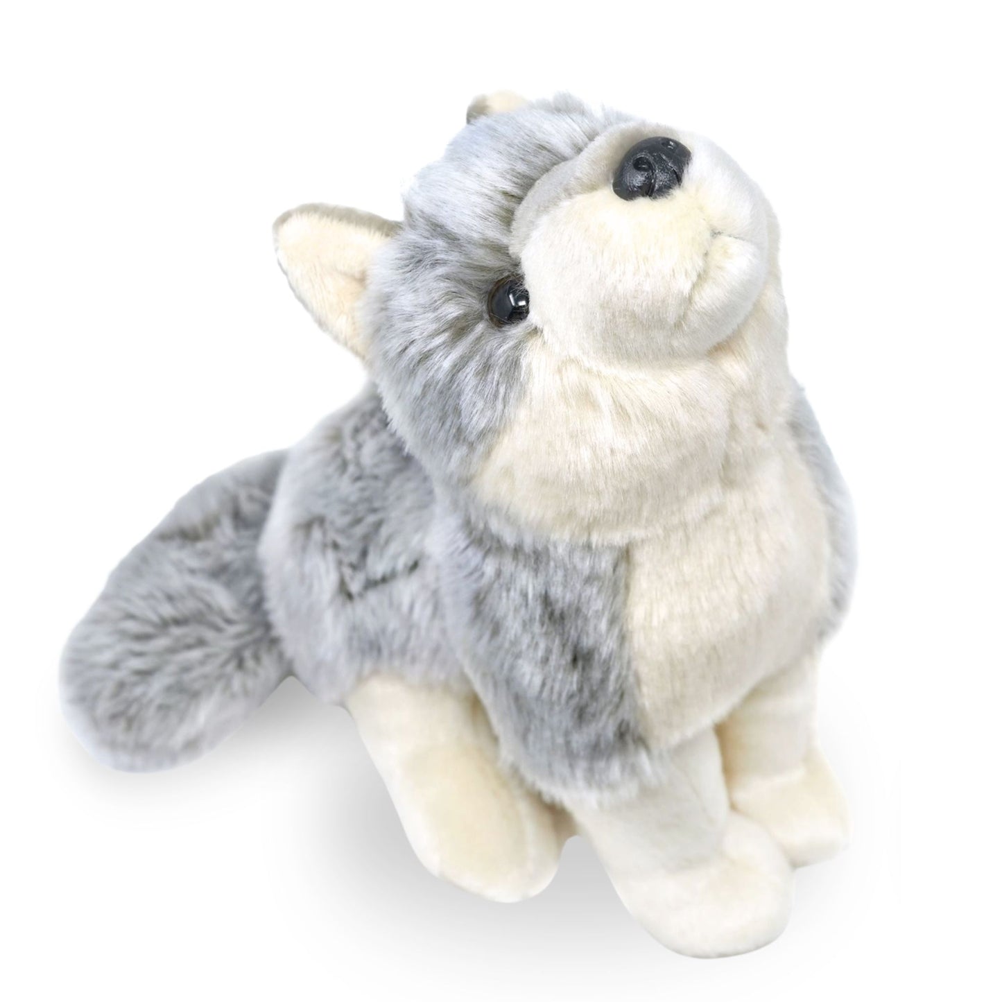 Wolcott Wolf